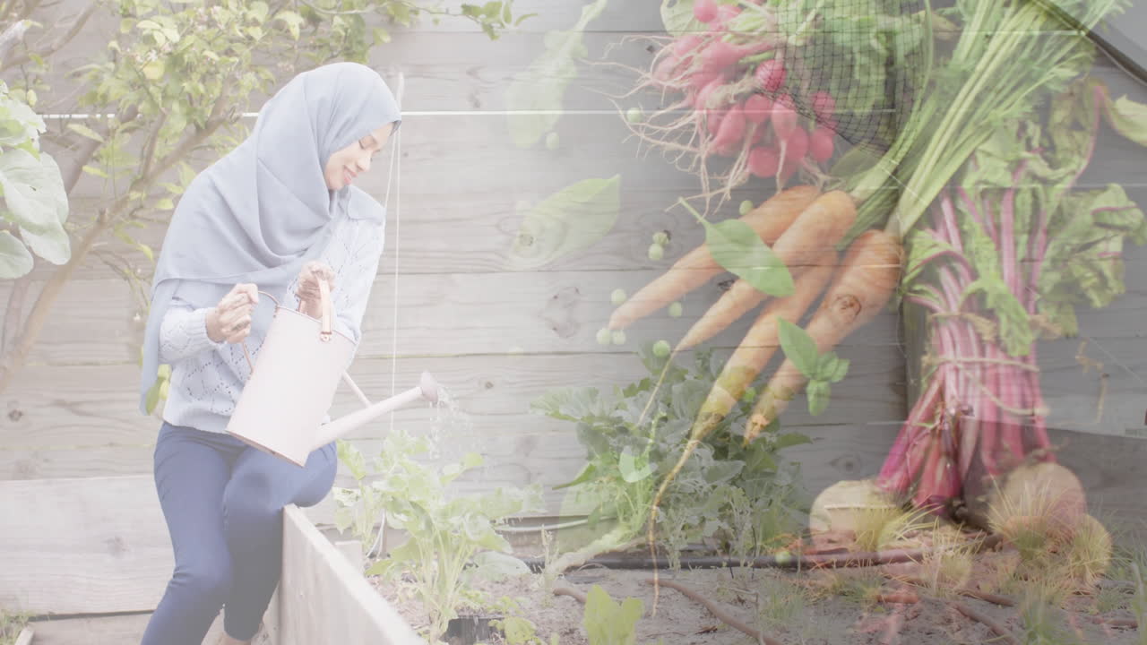 Femme biraciale en hijab arrosant des légumes dans un jardin, jardinant parmi les légumes