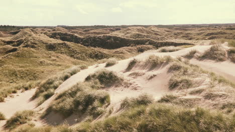 Scenic-view-on-dune-landscape-with-dune-grass-at-the-atlantic-coastline-in-Denmark