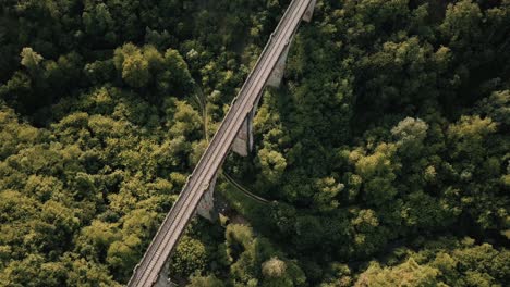 drone 4k footage of the ponte ferroviario sul fiume serchio, a train bridge near garfagna, a historical region in central italy