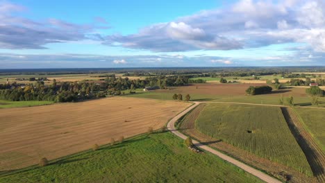 biological farming fields with corn and arable land, aerial view in golden hour
