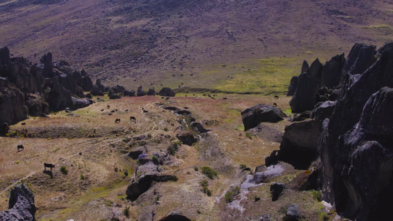 volando sobre las rocas hacia las coloridas tiendas en el campo verde en huaraz, perú