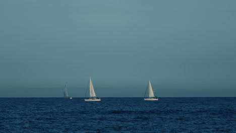 sailing boats on open sea at sunny day