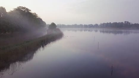 4k gliding shot of a lake and forest by the shore during sunrise and foggy weather in lower silesia, poland, europe