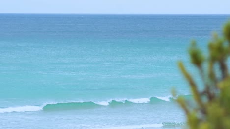 Gentle ocean waves roll towards a tranquil beach, framed by coastal vegetation, under soft natural lighting