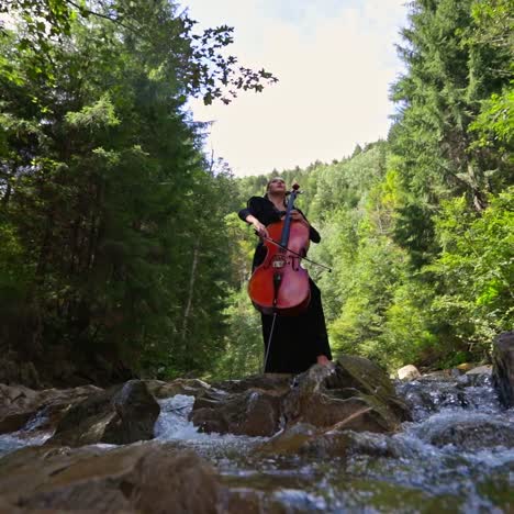 musician playing the cello
