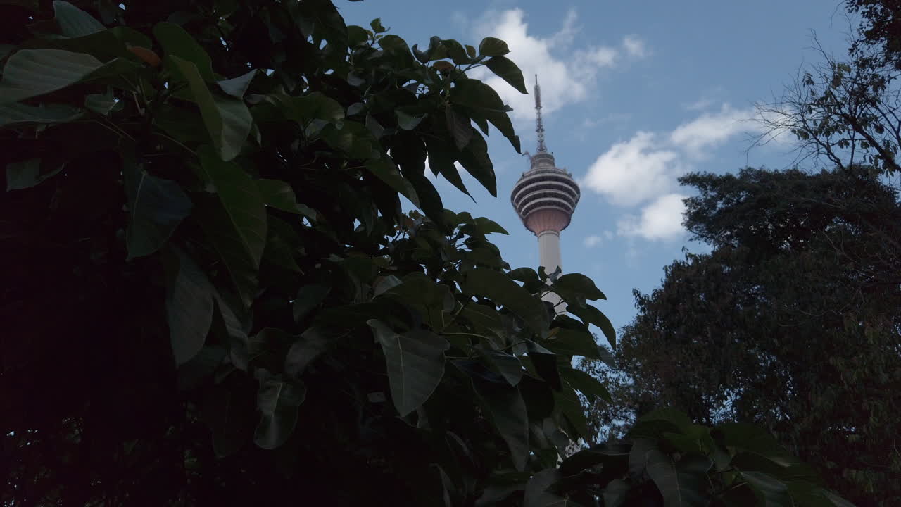 La Torre KL che emerge da alberi verdi e lussureggianti al Parco Ecologico Forestale di Kuala Lumpur
