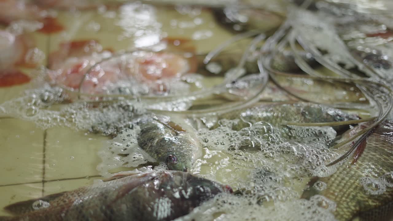 시장 에서 신선 한 물고기