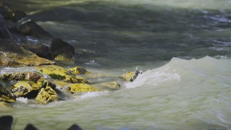 Afternoon-peaceful-panning-footage-from-the-shore-of-Zamárdi,-Lake-Balaton