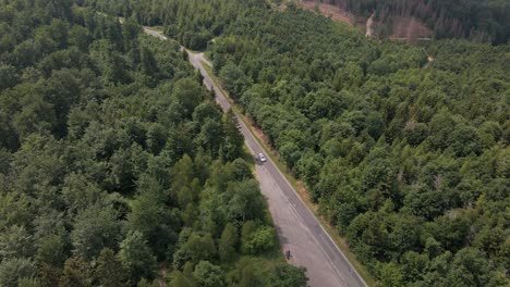 vista aérea siguiendo un vehículo en un día soleado por una carretera a través de un enorme bosque de pinos en las montañas