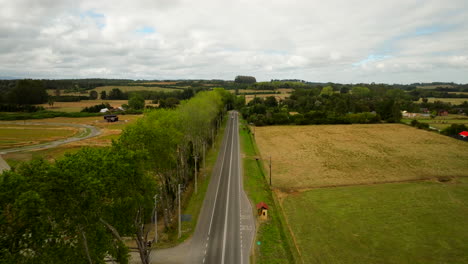country road lined with trees, rural landscape with fields and farms under cloudy sky, puerto varas, chile. aerial forward
