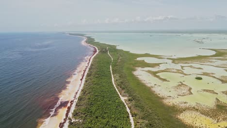 sian kaʼan biosphere reserve over yucatán peninsula in quintana roo, mexico. aerial drone shot