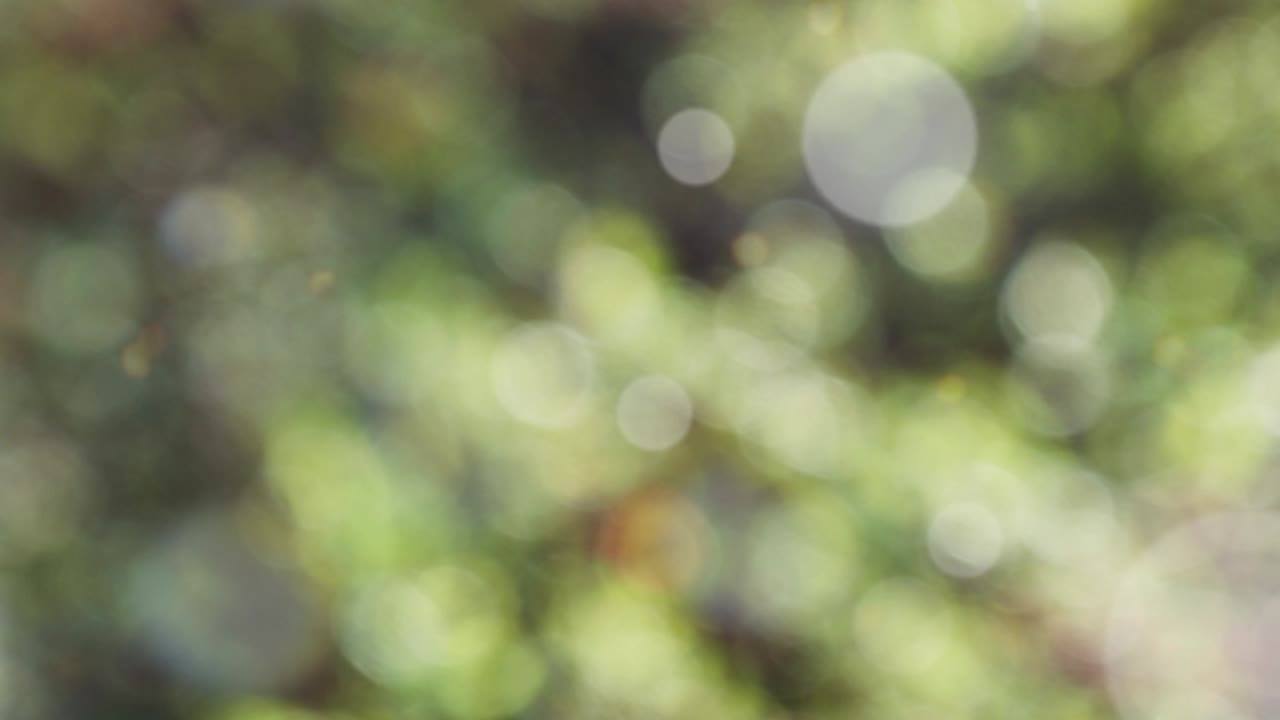 fondo de resorte abstracto con bokeh