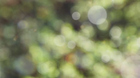 Abstract spring background with bokeh