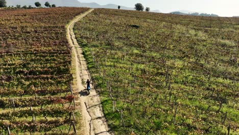 Biker-Fährt-Bergauf-Mit-Dirtbike-Auf-Feldweg