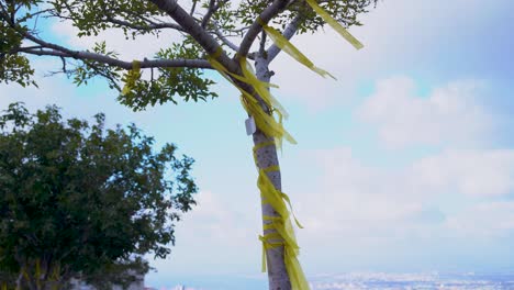 display of solidarity with families of the hostages kidnapped to gaza, yellow ribbons