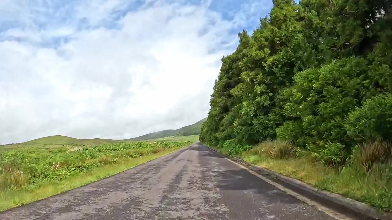 Jalan pedesaan yang sepi melintasi ladang hijau dan hutan di bawah langit berawan sebagian.