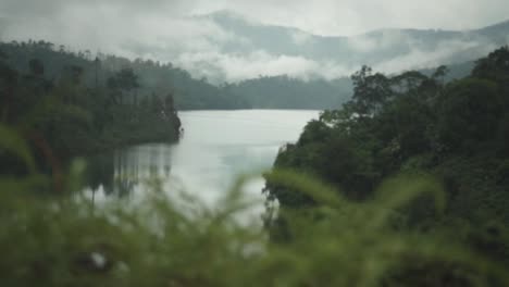 panning shot of the beautiful rainforest lake view with foggy mountain on background