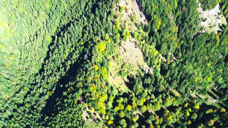 Vuelo-Aéreo-Sobre-Un-Bosque-Verde-En-La-Ladera-De-Una-Montaña,-4k