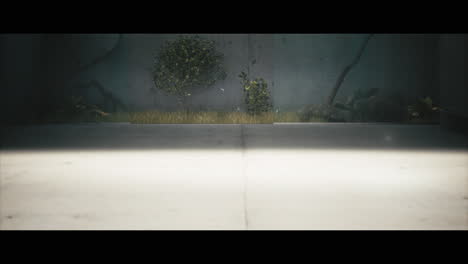 modern minimalist garden scene