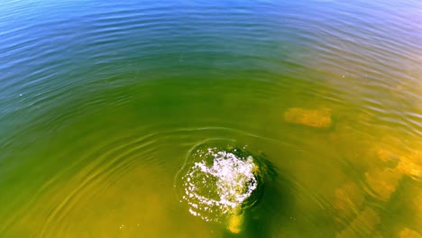 scuba-diver-underwater-starting-dive-in-the-green-lake,-dolomite-stones-,-shot-from-above,-aerial-shot,-bubbles-coming-up