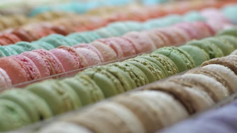 looking at delicious colorful macaroons in rows - close up