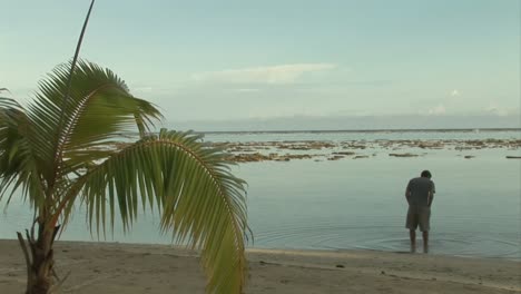 stock footage tropical island