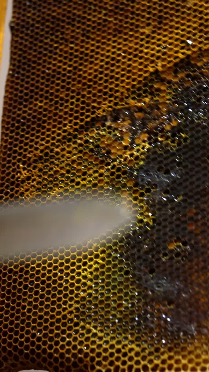 Apiarist cuts extra wax from the frame with dark honeycombs. Man rotates the frame to check if it's ready for honey extraction. Close up. Vertical video