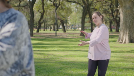 women practicing tai chi in a park