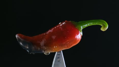 Close-Up-Rotating-Shot-of-a-Burned-or-Well-Cooked-Red-Chili-Pepper-on-the-Tip-of-a-Knife