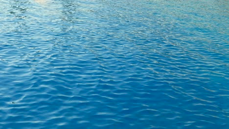 Water-rippling-in-swimming-pool,-clean-swimming-pool,-reflection