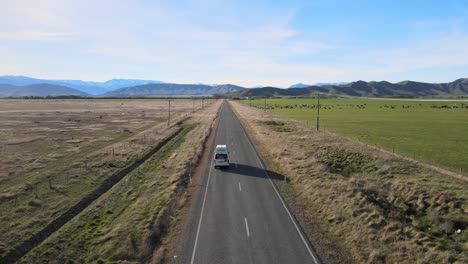 new zealand road trip across serene meadows, grazing cows, and mountain range scenery