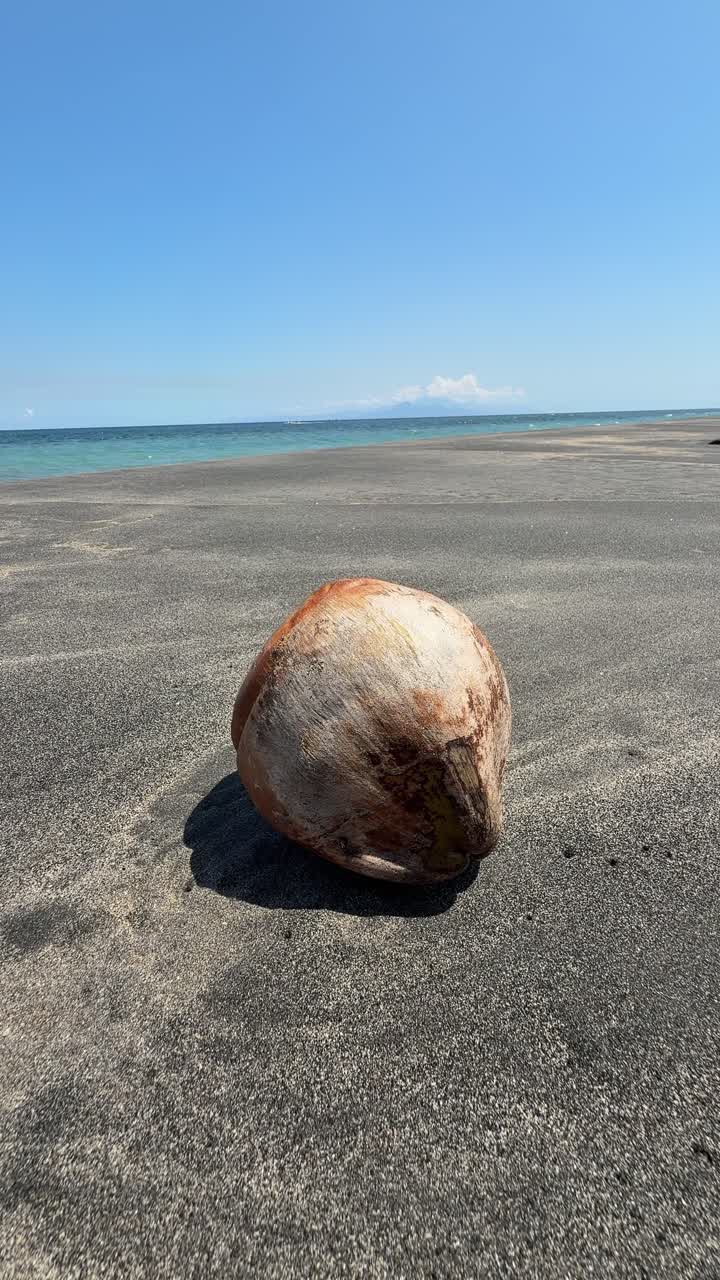 Kelapa di Pantai Pasir Gelap dengan Laut Biru dan Langit