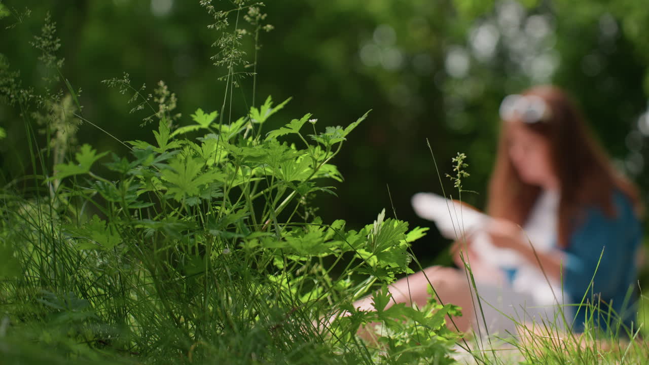 Close up of fresh green plant bathed in sunlight with blurred lady seated in background working on embroidery, combining vibrant nature detail with soft artistic focus