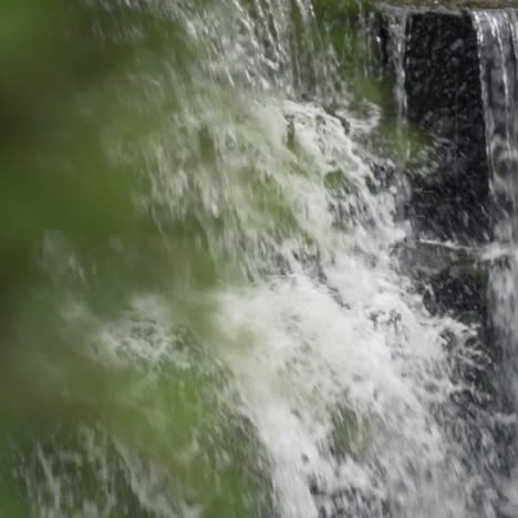 Revealing-a-waterfall-from-behind-a-bush-left-to-right-in-summertime