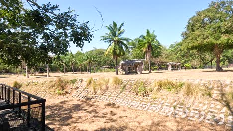 panoramic view of zoo landscape and structures