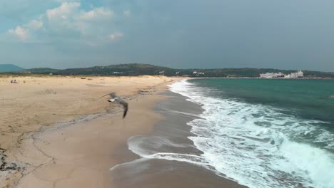 seagulls take off from the seashore in front of the filming drone in sozopol, bulgaria