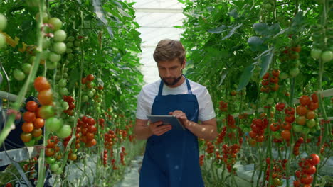 Botanical-specialist-tablet-inspecting-cultivation-tomatoes-quality-in-farm