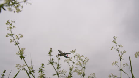 El-Avión-De-Pasajeros-Aterriza-Volando-Sobre-Las-Flores.