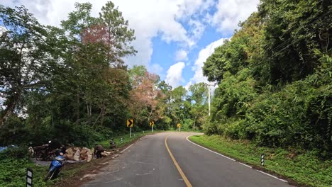 a journey along a winding road surrounded by greenery