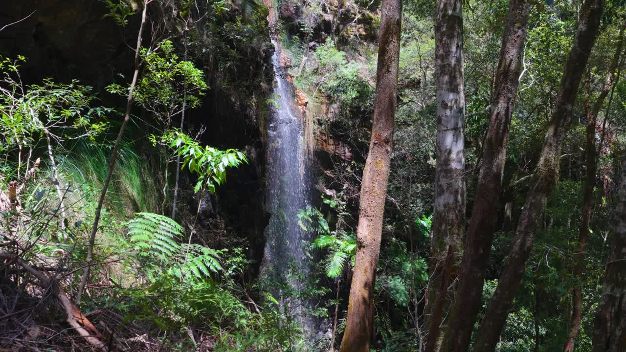Springbrookin kansallispuiston vesivirta putouksille, Gold Coast, Queensland, Australia.
