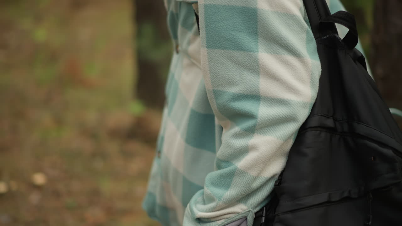 Hiker with backpack strolls, Person carrying backpack moves through sunlit forest path, Traveler in checkered coat walking steadily along pinelined trail with sunlight filtering through trees