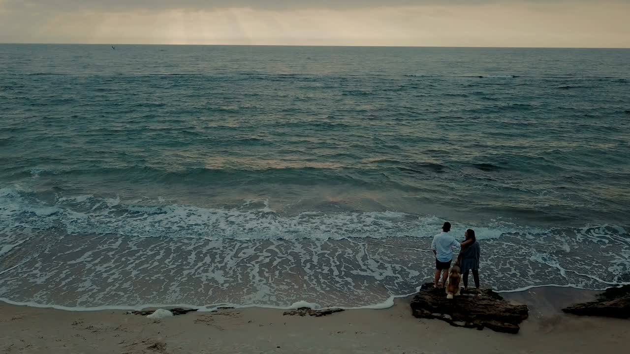 허스키 강아지 와 함께 해변 을 고 있는 젊은 행복 한 부부 의 공중 광경