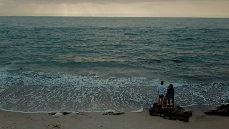 aerial view of young happy couple walking on beach with husky dog