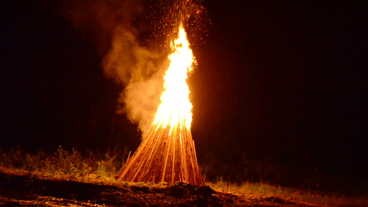 Fire flame. Night fire