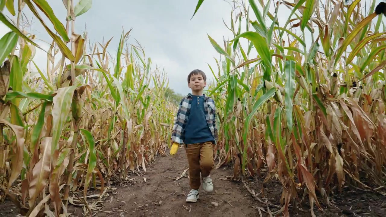 Asian Boy Walking Toward Camera Holding Corn Cob in Maze