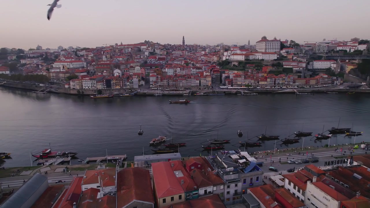 Fiume Douro con il quartiere Ribeira, la torre della Chiesa dei Chierici e il Teleferico de Gaia nel comune di Porto, distretto di Porto, Norte, Portogallo, con barche rabelo lungo Av de Diogo Leite, orbita drone all'indietro