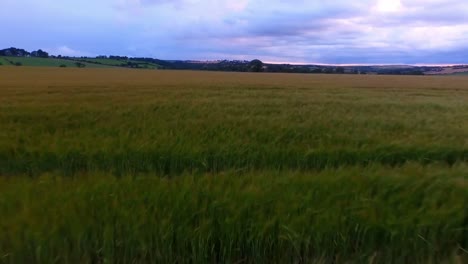 imágenes de aviones no tripulados de un campo pacífico