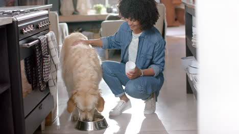 una mujer biracial feliz sirviendo comida para perros de golden retriever en casa, en cámara lenta.