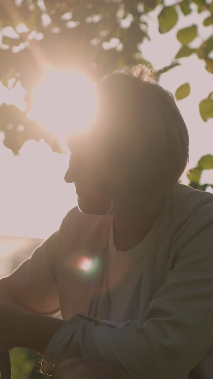 владелец собаки, приседающий на травяном поле, ласково потирает ухо собаки перчаткой для ухода за собой, держа поводок, под теплым солнечным светом, создавая красивый силуэтный эффект, с размытым фоном