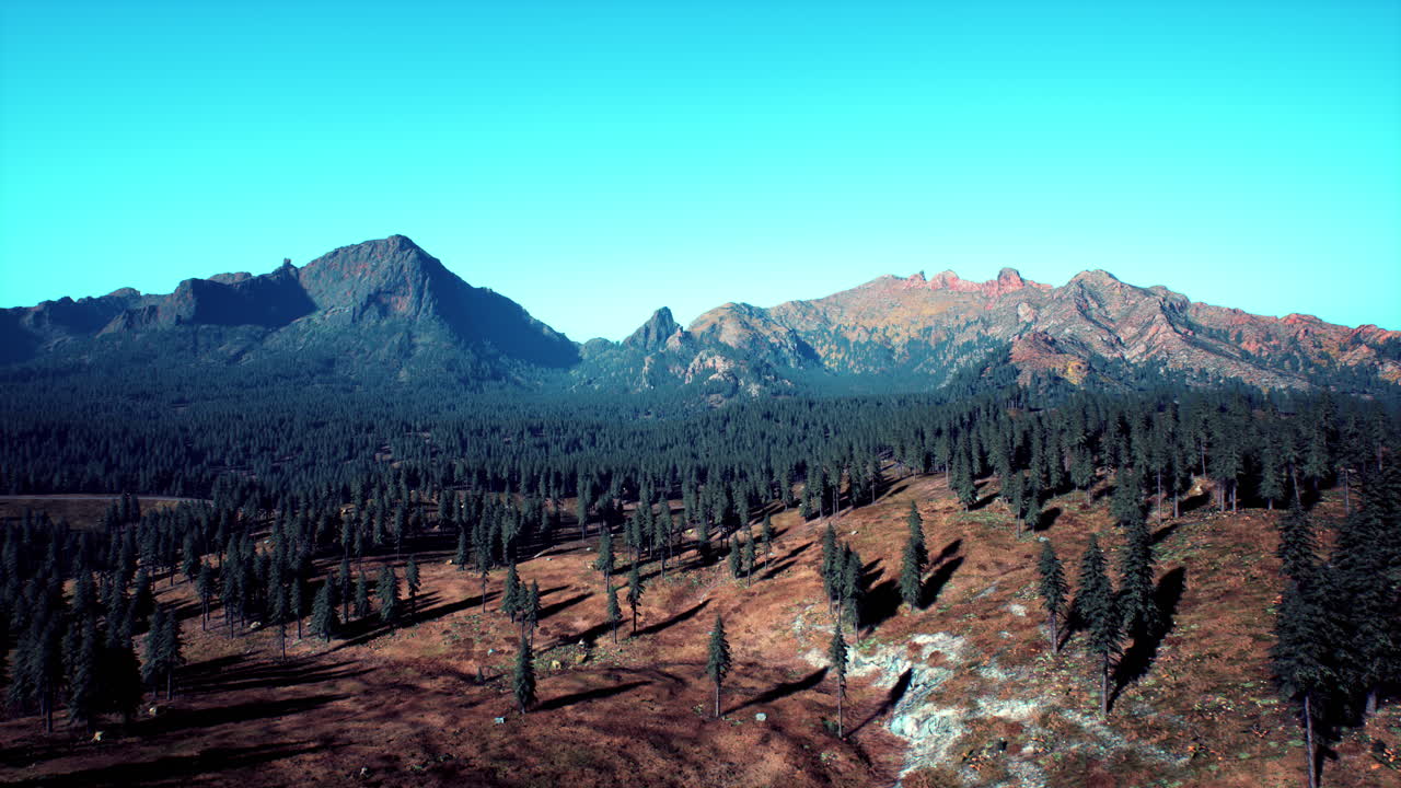 그리스 섬 의 산 들 에 있는 소나무 숲